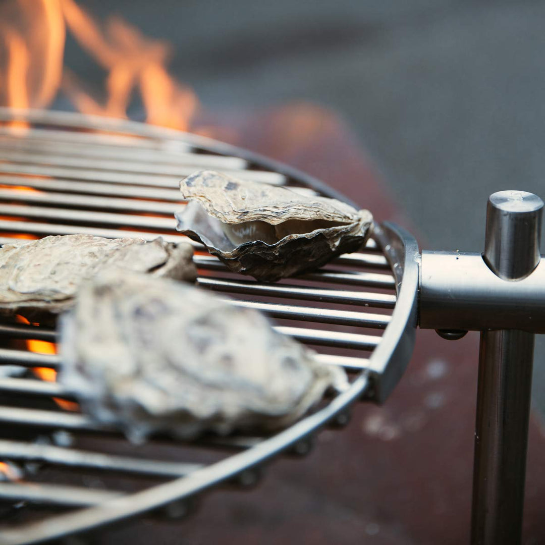 Grillrost rund Ø 55 cm Edelstahl höhenverstellbar schwenkbar für Feuerschale - Bild 9