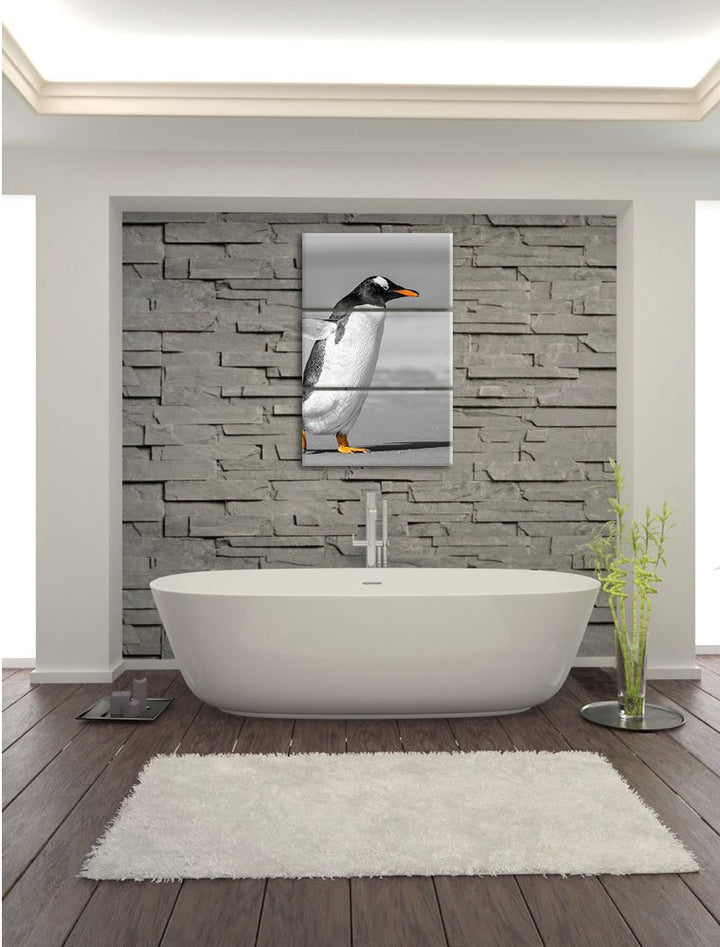 Leinwandbild 3-teilig Pinguin Strand Schwarz-Weiss 120x80cm - Bild 7