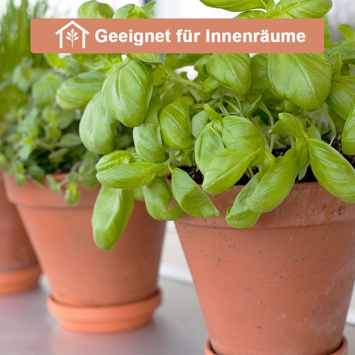 Terrakotta-Töpfe 20 cm mit Untersetzer für Innen und Aussen 2er-Set - Bild 2