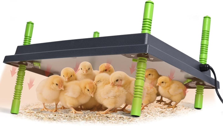 Heizplatte Küken 30x40cm höhenverstellbar 6-18cm für Geflügelaufzucht
