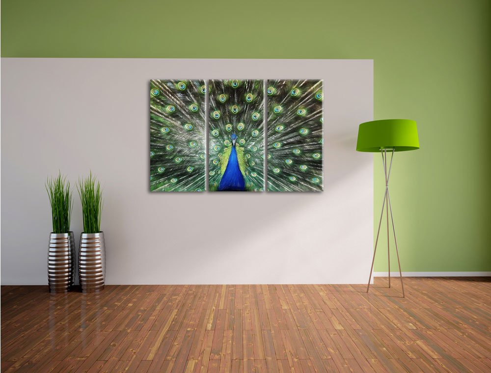 Leinwandbild 3-teilig Pfau Buntstift-Effekt 120x80 cm aufgespannt - Bild 3