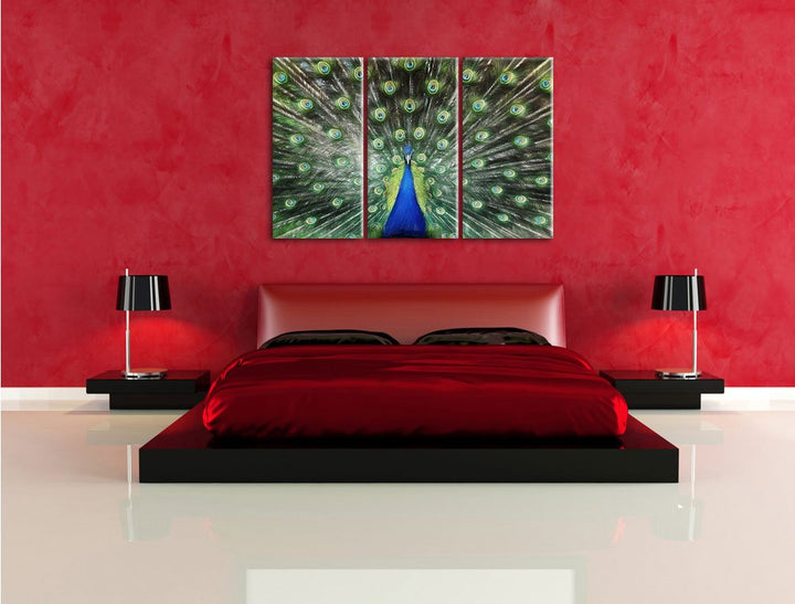 Leinwandbild 3-teilig Pfau Buntstift-Effekt 120x80 cm aufgespannt - Bild 4