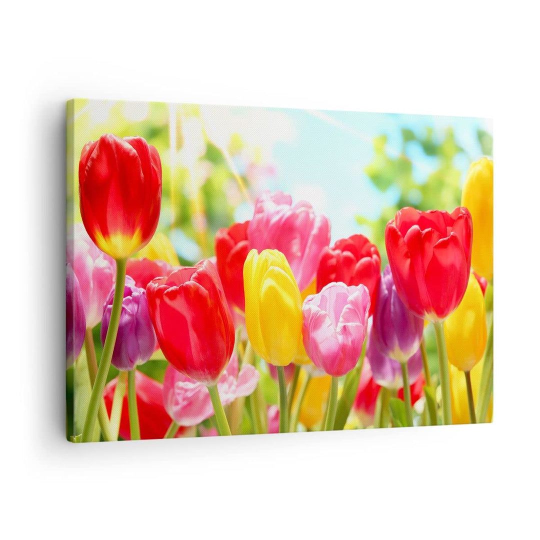 Leinwandbild Botanik Blumen 70x50 cm aufhängefertig
