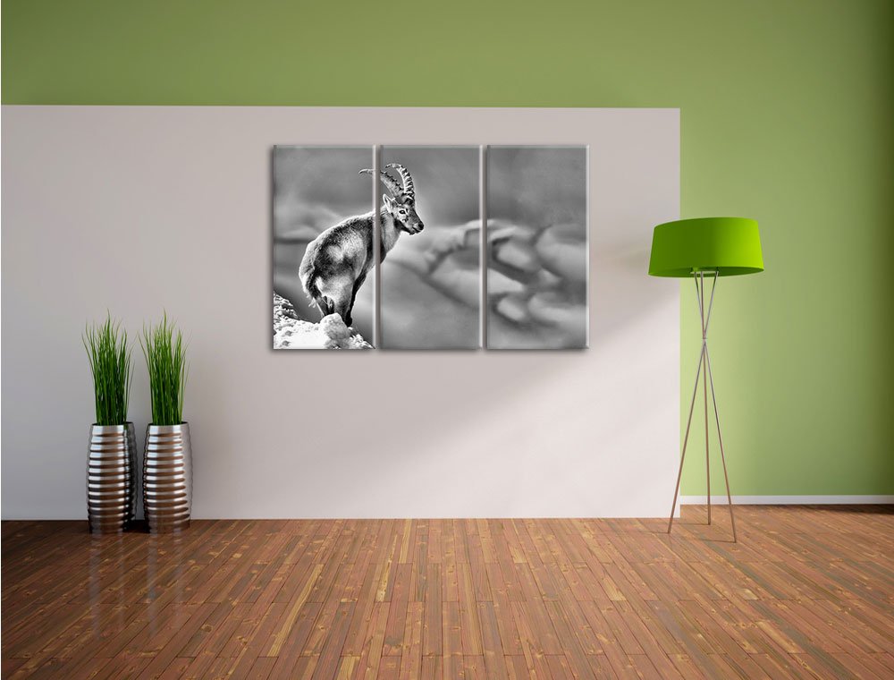 Leinwandbild 3-teilig Steinbock im Schnee 120x80 cm Wanddeko - Bild 4