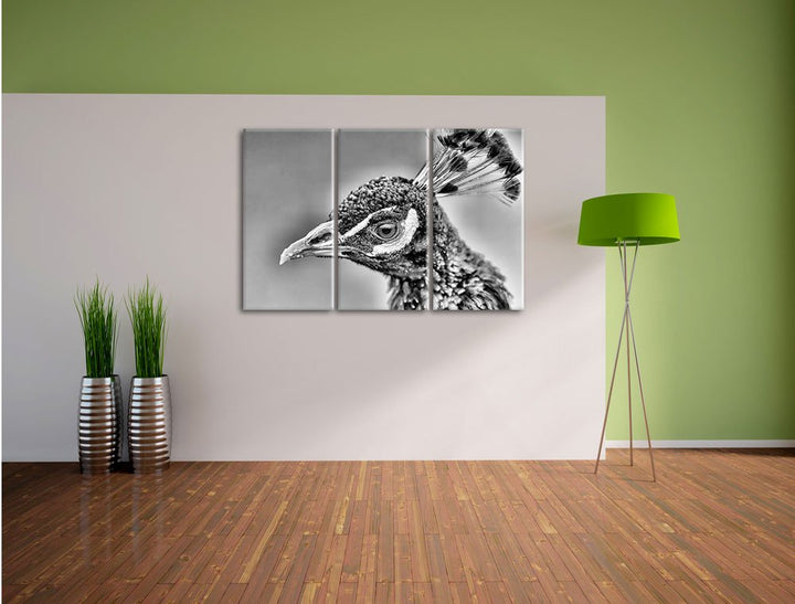 Leinwandbild Pfau 3-teilig farbenfroher Druck 120x80cm - Bild 4