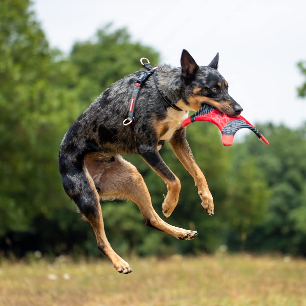 Anti-Zug Hundegeschirr Nylon Grösse L für Hunde bis 80 cm - Bild 8