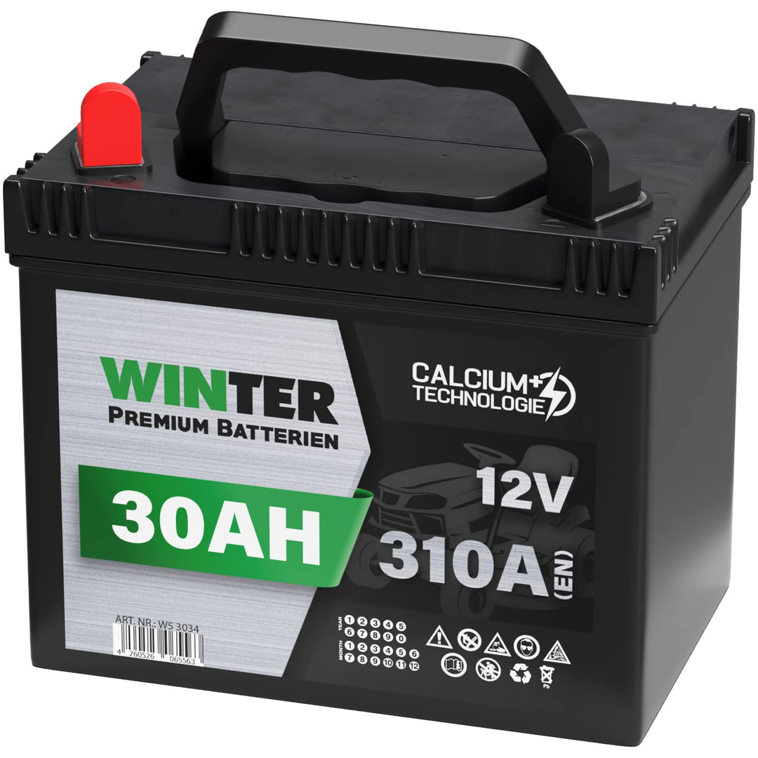 Starterbatterie 12V 30Ah 310A für Aufsitzrasenmäher Calcium+ - Bild 3