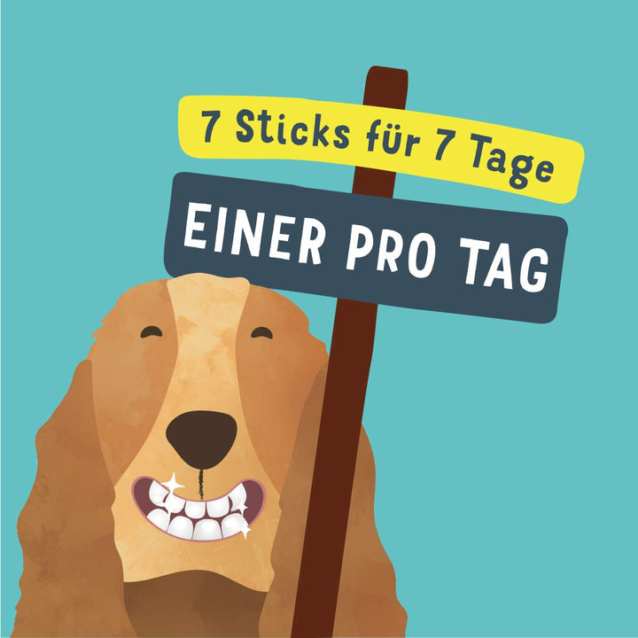 Dental Sticks Hund Eukalyptus &amp; Apfel Medium 56 Stück getreidefrei - Bild 7