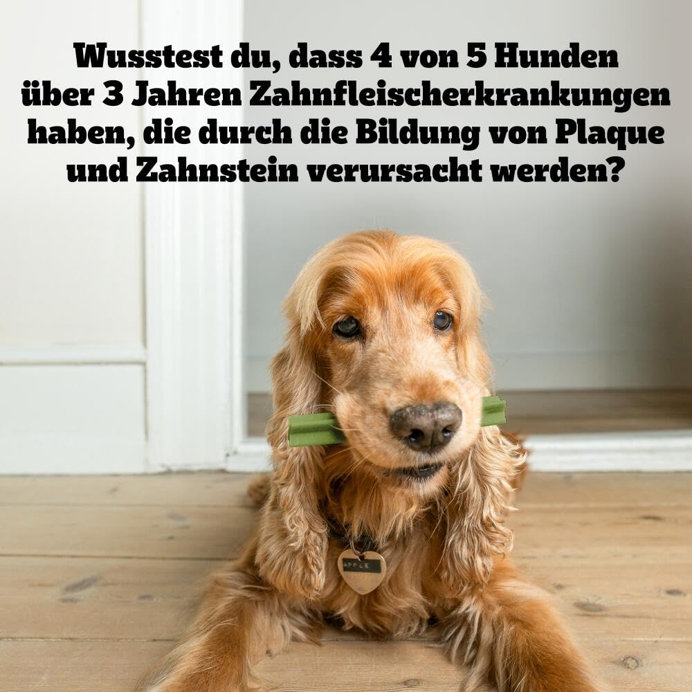Zahnpflege-Kausnack grosse Hunde ab 25 kg Fresh 4x28 Stück - Bild 10