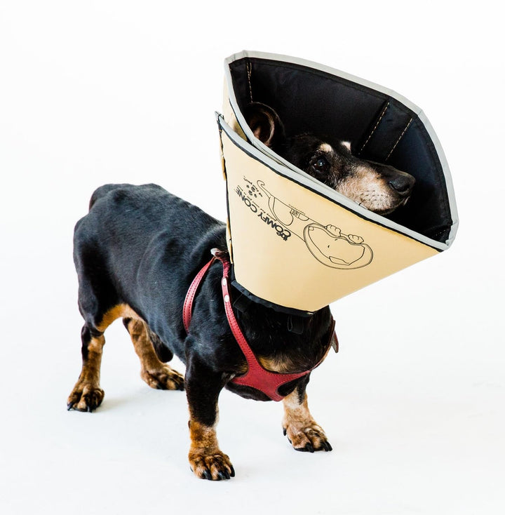 Halskrause Hund Katze weich gepolstert wasserfest wendbar Small - Bild 6