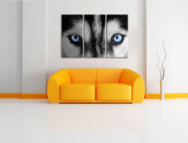 Leinwandbild 3-teilig Husky Augen Blau 120x80cm fertig gespannt - Bild 2