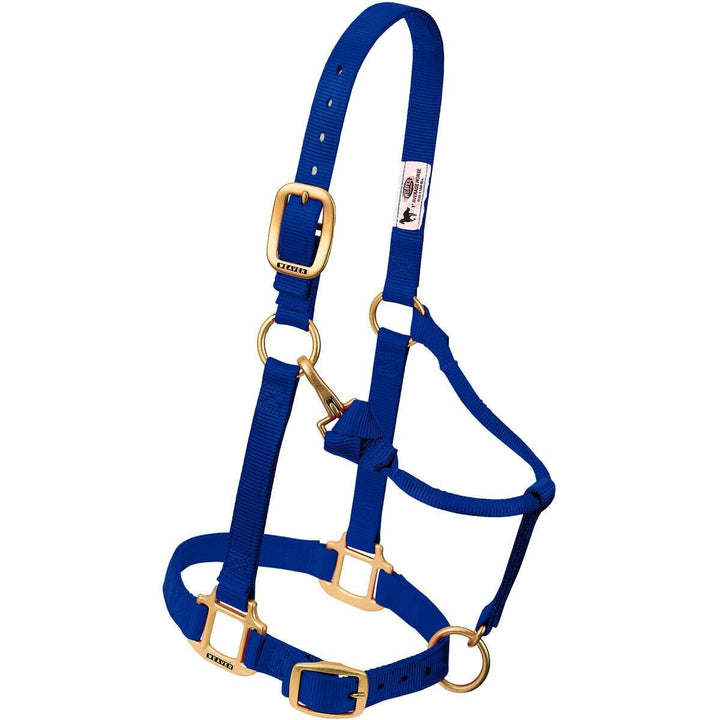 Nylon-Halfter verstellbar mit Kinn- und Kehlkopfschnapper 2,5 cm Graphit - Bild 8