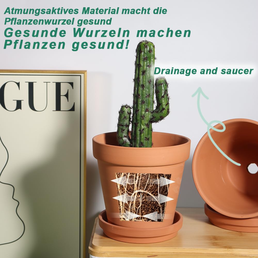 Terrakotta-Töpfe 20 cm mit Untersetzer für Innen und Aussen 2er-Set - Bild 3
