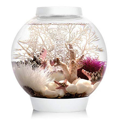 Aquarium Kugel-Design Acryl 15 L mit LED und Filtersystem