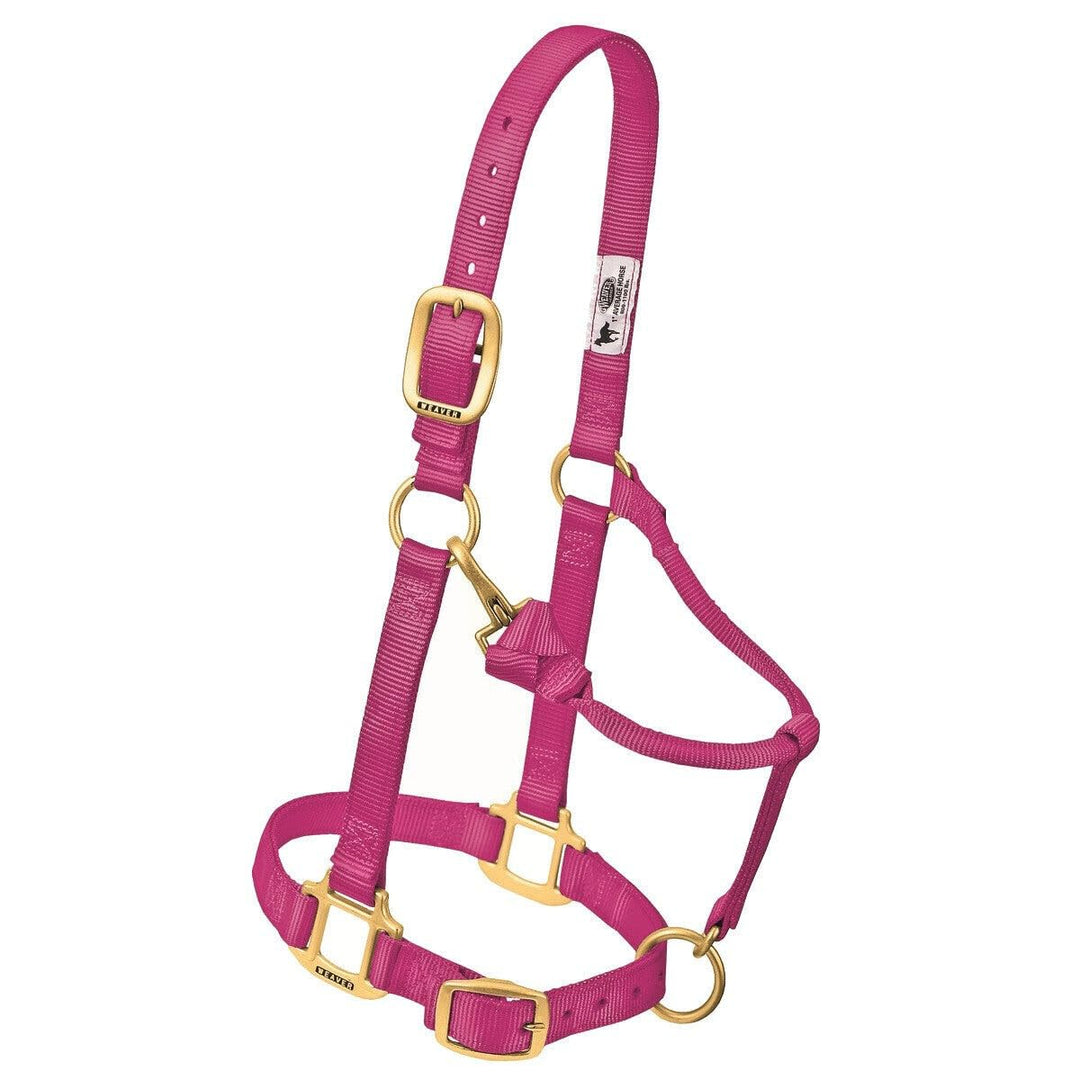 Nylon-Halfter verstellbar mit Kinn- und Kehlkopfschnapper 2,5 cm Graphit - Bild 6