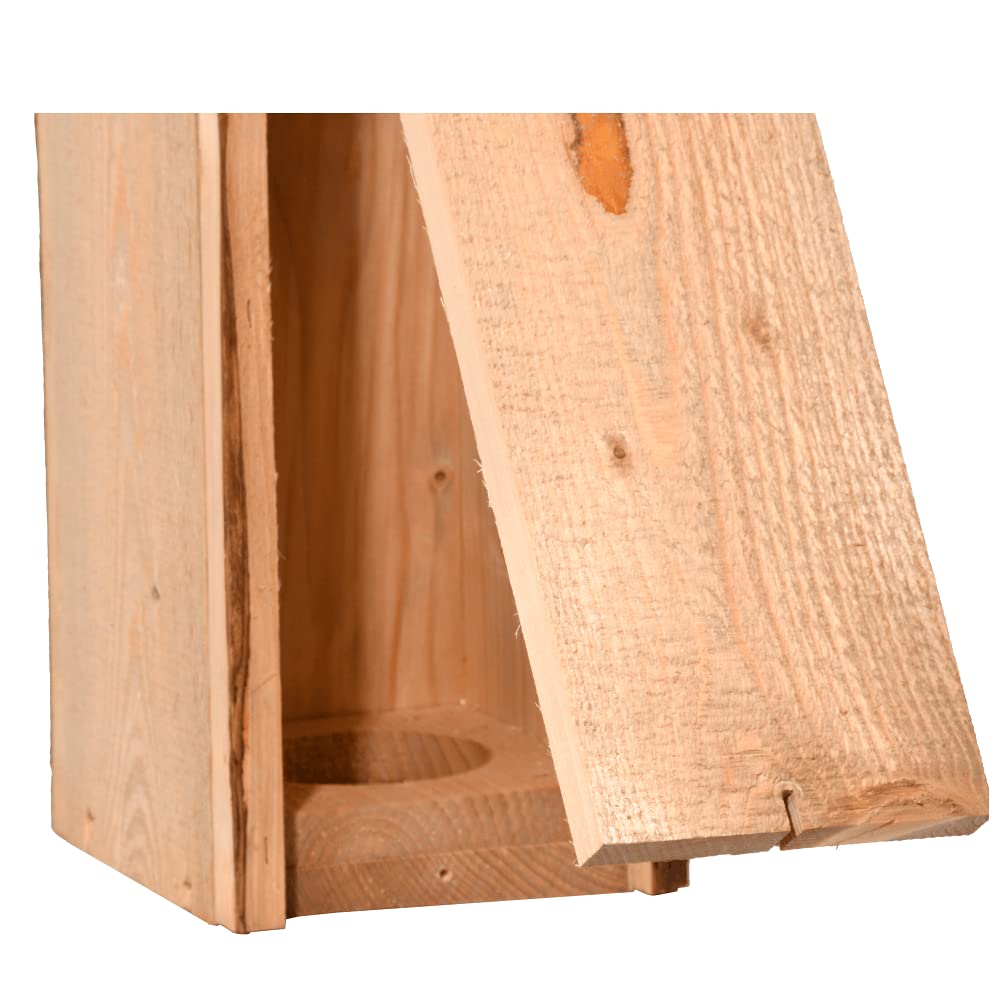 Nistkasten Buntspecht FSC Kiefernholz mit verschlossener Einflugöffnung - Bild 4