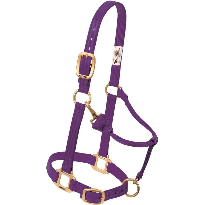 Nylon-Halfter verstellbar mit Kinn- und Kehlkopfschnapper 2,5 cm Graphit - Bild 7