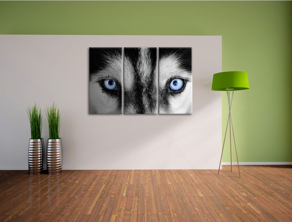 Leinwandbild 3-teilig Husky Augen Blau 120x80cm fertig gespannt - Bild 4
