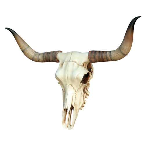 Longhorn Schädel Wanddeko Polyresin 45 cm Western Deko