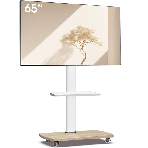 TV Ständer rollbar höhenverstellbar 32-65 Zoll bis 40 kg VESA 400x400