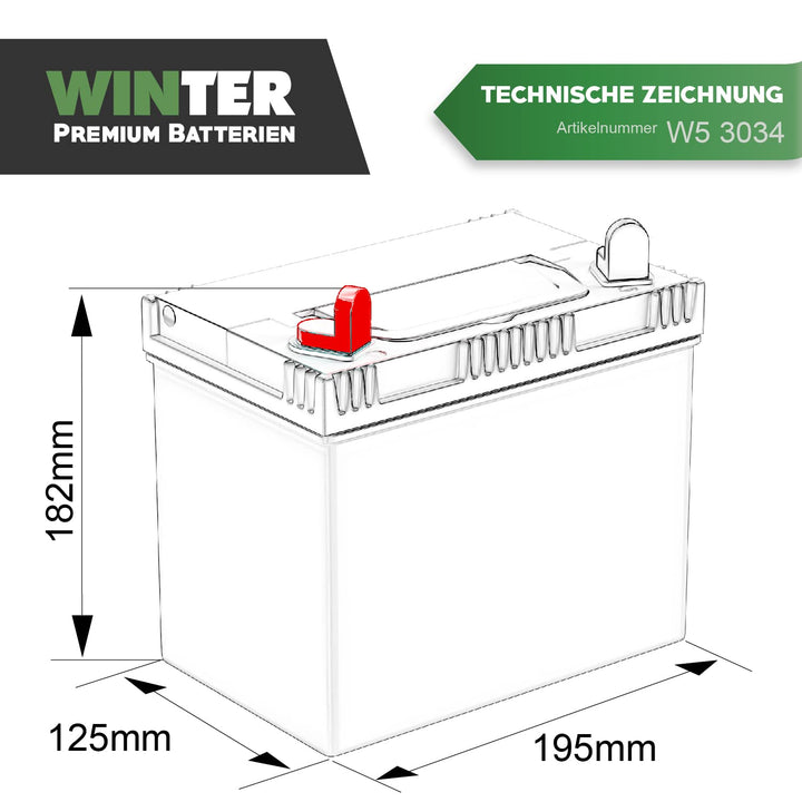 Starterbatterie 12V 30Ah 310A für Aufsitzrasenmäher Calcium+ - Bild 7