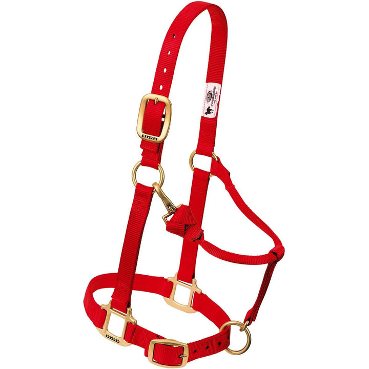 Nylon-Halfter verstellbar mit Kinn- und Kehlkopfschnapper 2,5 cm Graphit - Bild 5