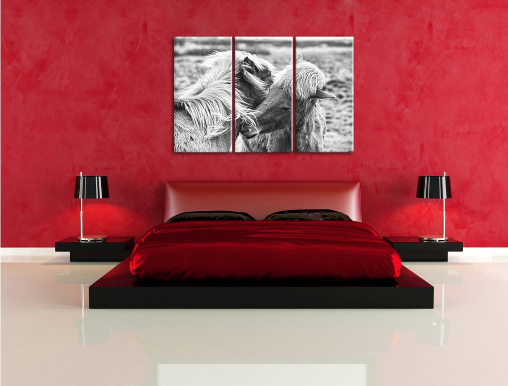 Leinwandbild 3-teilig Islandpferde Schwarz-Weiss 120x80 cm - Bild 4