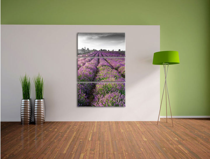 Leinwandbild Lavendelfelder Provence 3-teilig 120x80 cm - Bild 4