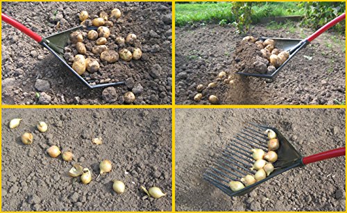 Multifunktions-Gartenrechen 3-in-1 Harke Schaufel Sieb ergonomisch - Bild 8