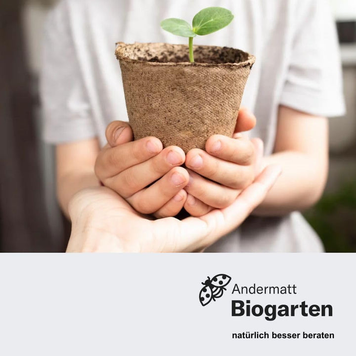 Schneckenkragen mechanisch 12er-Pack aus recyceltem Kunststoff - Bild 7