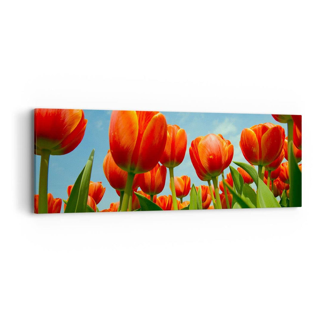Leinwandbild Botanik Blumen 90x30cm aufhängefertig
