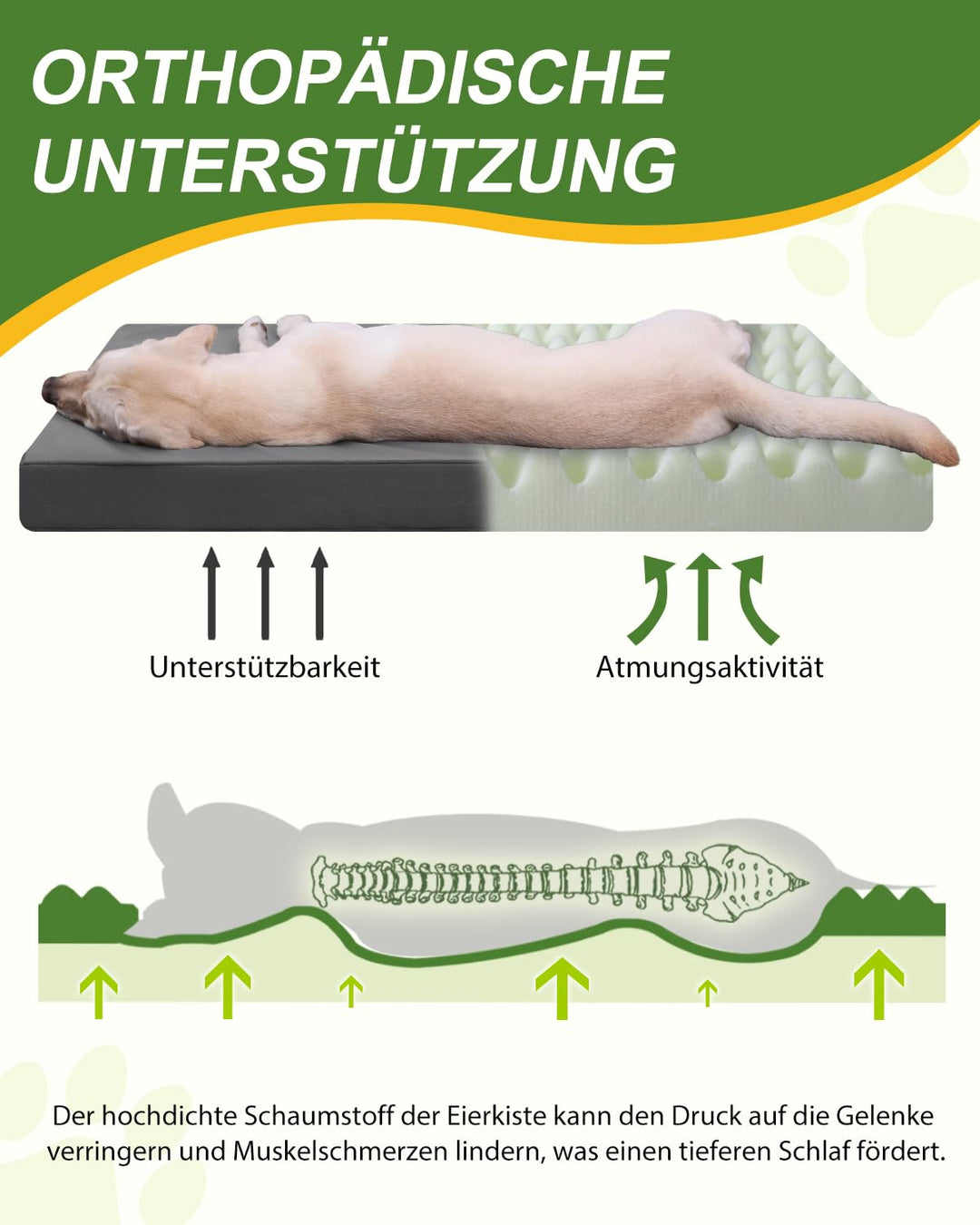 Orthopädisches Hundebett Kunstleder wasserdicht für grosse Hunde - Bild 4