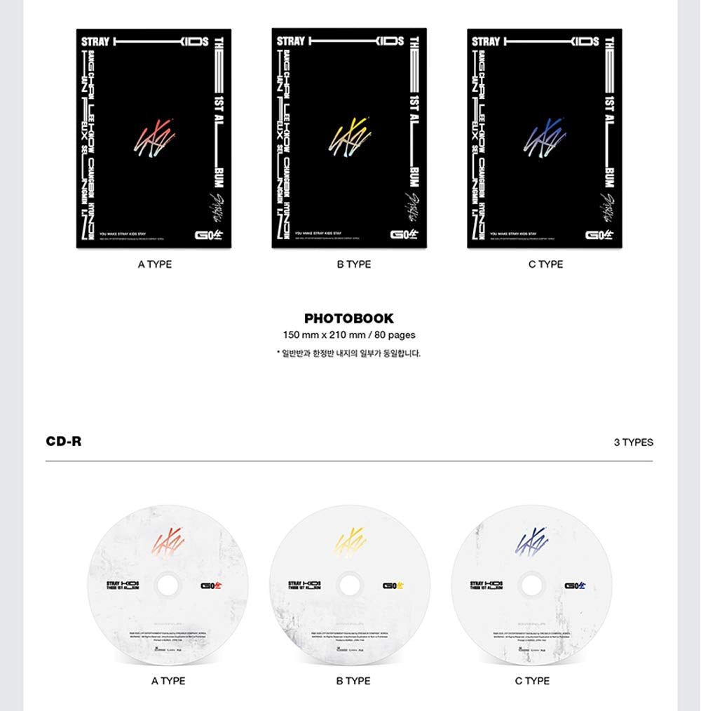 Stray Kids GO LIVE Album Standard Ver. C Type CD mit Photobook und Photocards - Bild 3