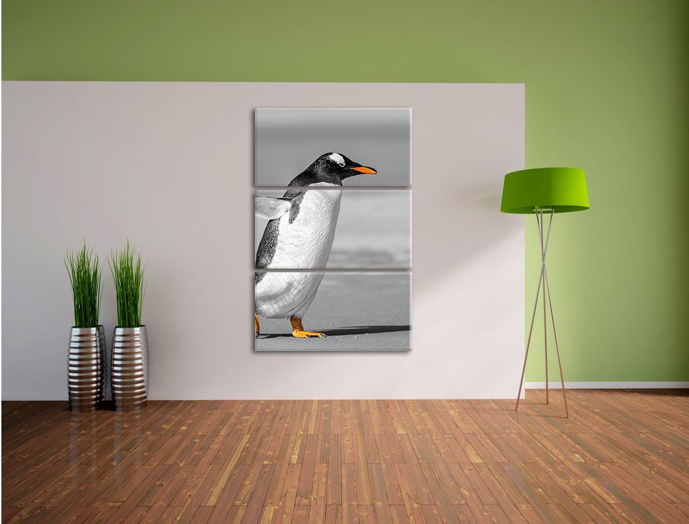 Leinwandbild 3-teilig Pinguin Strand Schwarz-Weiss 120x80cm - Bild 4
