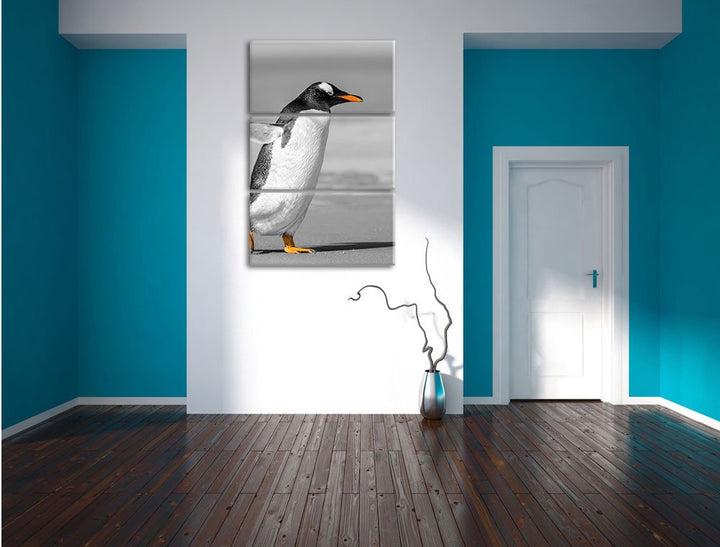 Leinwandbild 3-teilig Pinguin Strand Schwarz-Weiss 120x80cm - Bild 5