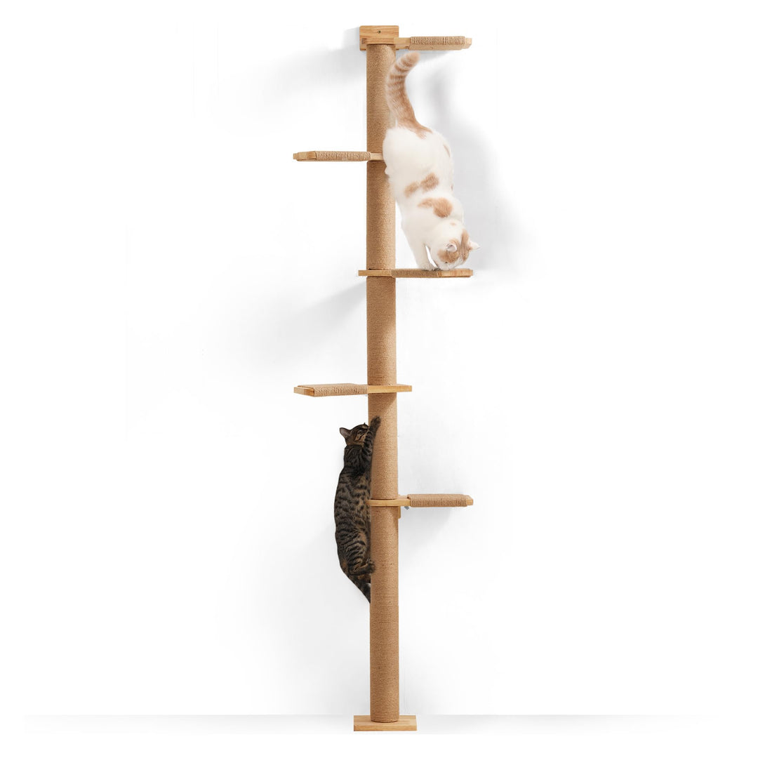 Katzenbaum Deckenhoch 206 cm Gummibaumholz Wandmontage 5 Etagen