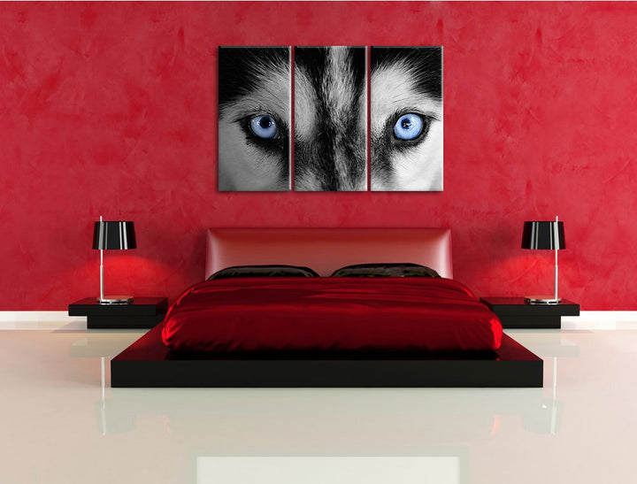 Leinwandbild 3-teilig Husky Augen Blau 120x80cm fertig gespannt - Bild 3