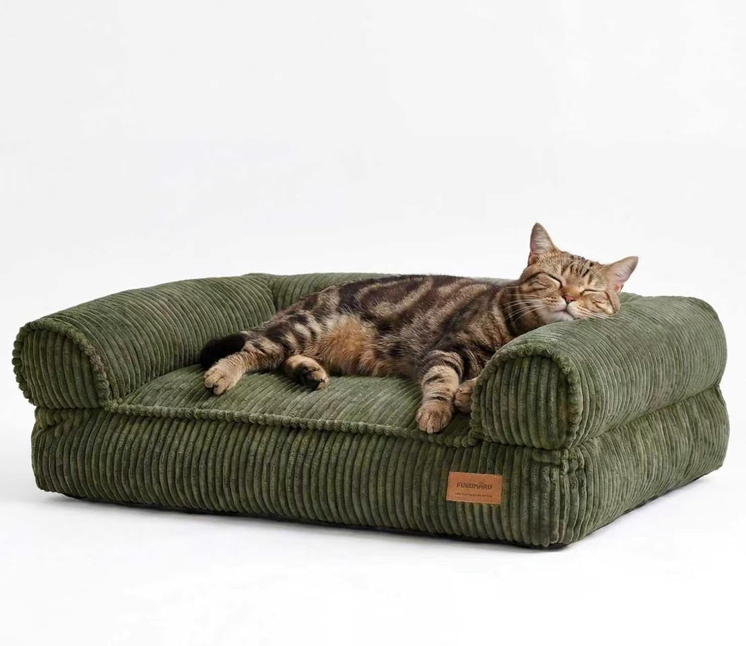 Katzensofa Cord waschbar mit Armlehnen 72x52x22 cm Grün
