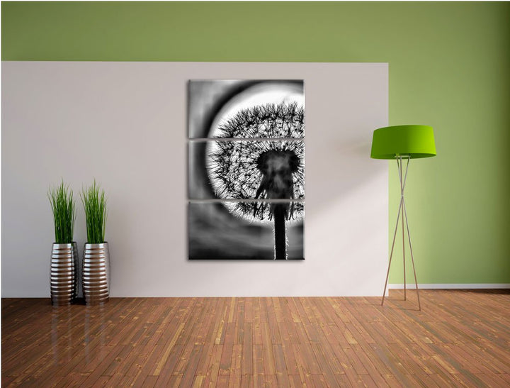 Leinwandbild Pusteblume 3-teilig 120x80 cm Wanddeko Natur - Bild 4