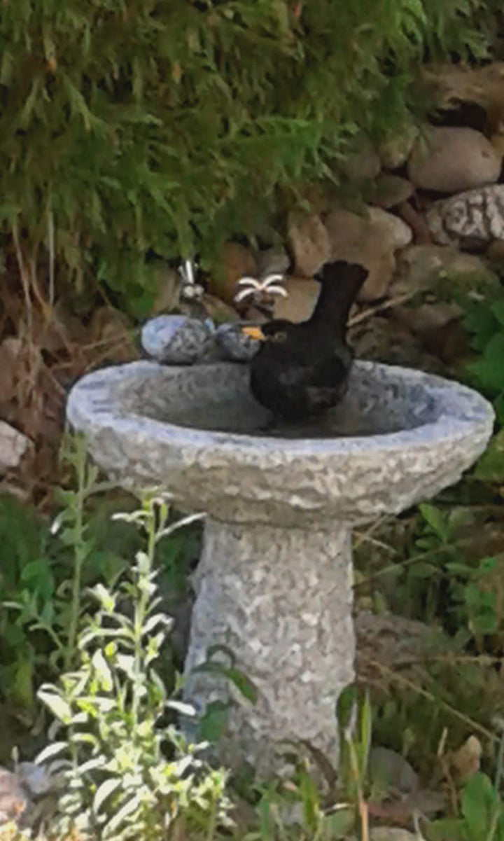 Vogelbad Granit Schale frostsicher 35 cm für Garten - Bild 6