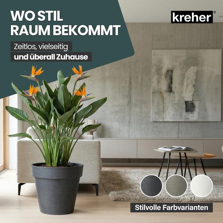 Pflanzkübel rund mit Rollen Anthrazit Ø58cm PE-Kunststoff Outdoor - Bild 3