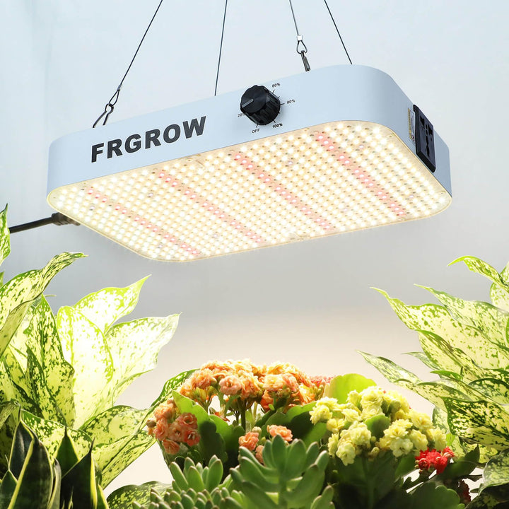 LED Grow Light Vollspektrum 65W dimmbar 6000 Lumen für 60x60cm Zelt