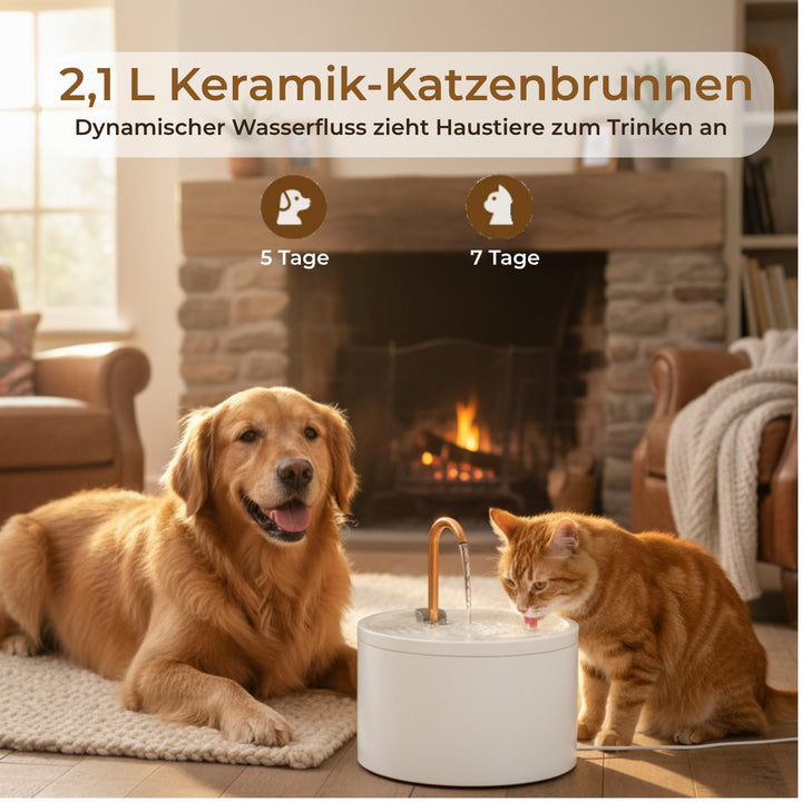 Katzenbrunnen Keramik 2,1 L mit Doppelfilter, leise, Weiss - Bild 4
