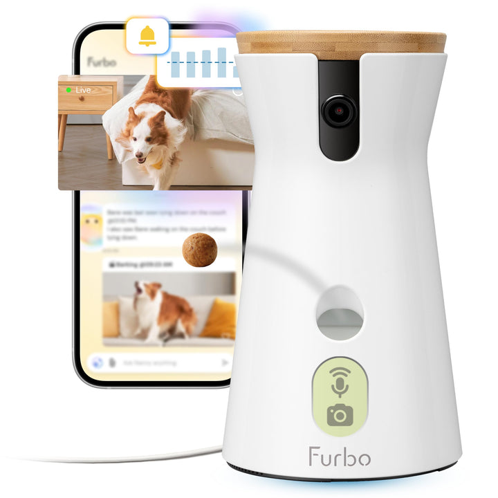 Hundekamera 360° mit Leckerliwurf 1080p Full HD Farbnachtsicht
