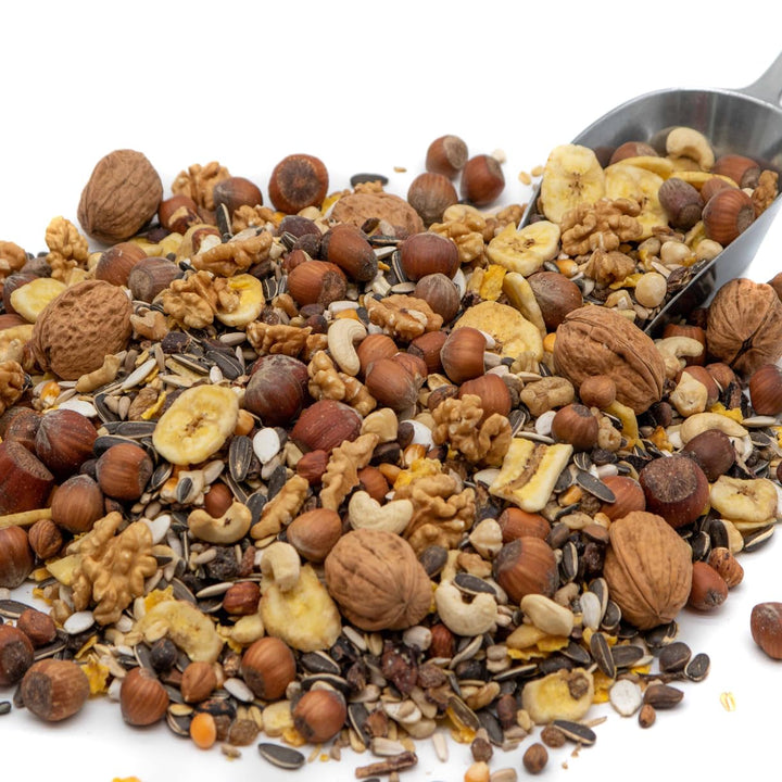 Eichhörnchenfutter mit Walnüssen &amp; Haselnüssen in Schale 5 kg