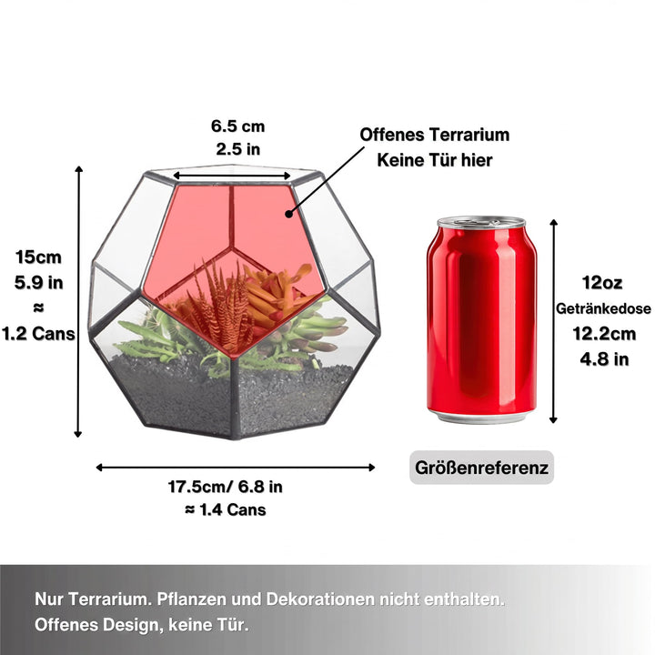 Glas-Terrarium Dodekaeder geometrisch 17,5x15 cm für Sukkulenten - Bild 3