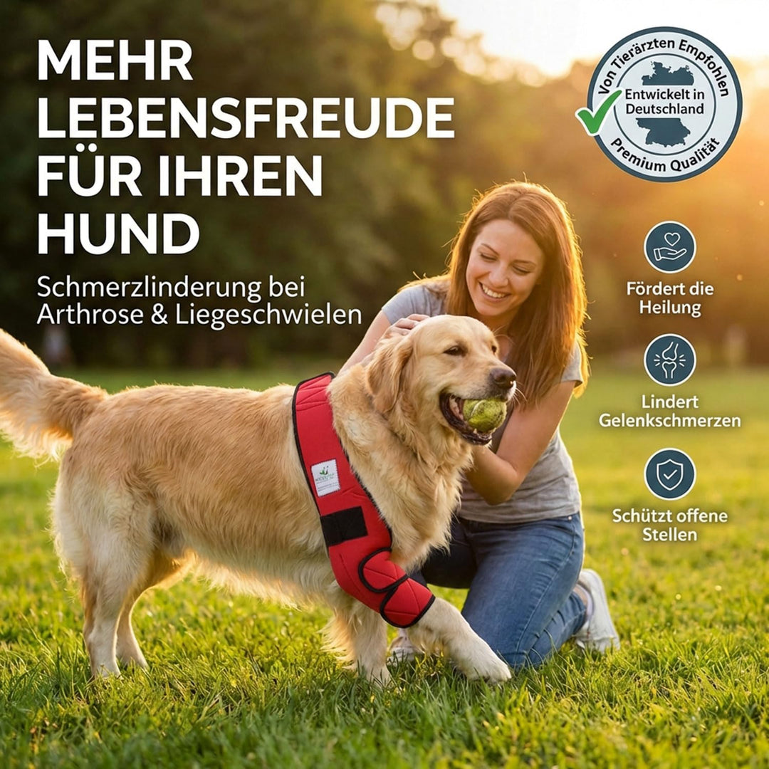 Ellenbogenbandage Hund Neopren 3mm mit Tasche für Kühl-/Wärmepad - Bild 5
