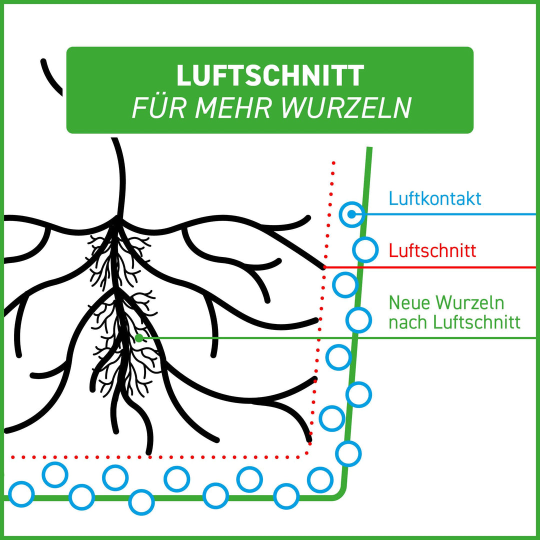 Pflanzsack Vliesstoff 30L 5er-Set für Tomaten Balkon Terrasse - Bild 7