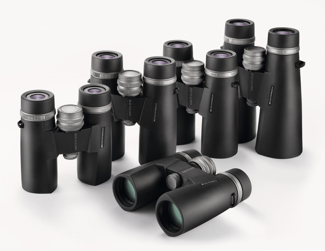 Fernglas 10x42 ED Weitwinkel mit BaK-4-Prismen für Vogelbeobachtung - Bild 4