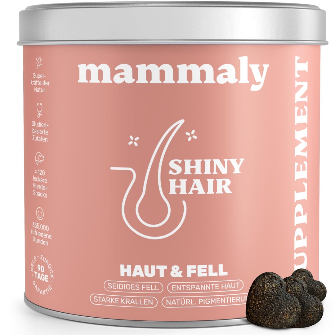 Fellpflege-Snacks Hund mit Nachtkerzenöl, Biotin &amp; Bierhefe 60 Tage